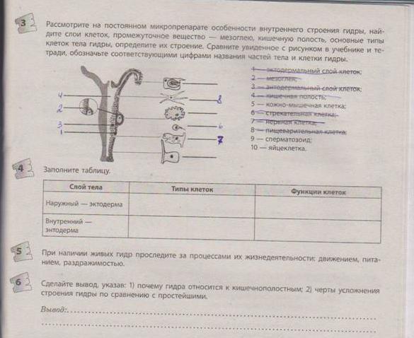 Кракен ворует аккаунты